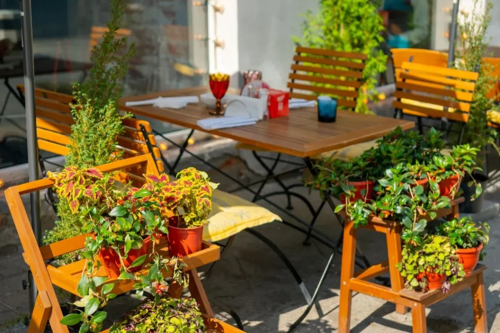 Beste Terrasplanten voor jouw tuin